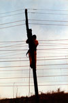 M Isabel Snchez Gonzlez, oficial de Telecomunicaciones de RENFE, subida en un poste de telecomunicaciones mientras realiza su trabajo a la altura de Izarra - 1989 - Izarra (lava)