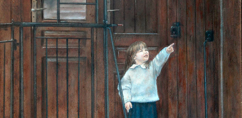 Un viaje por la fantas�a