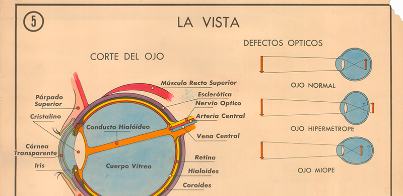 Cartel gabinete sanitario 5: la vista y el odo